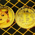 shiba inu coin next to bitcoin coin
