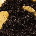 crypto crash - bitcoin in dirt growing