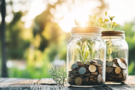 Making $500K But Still Broke? Here’s How to Fix It - Verified by FangWallet