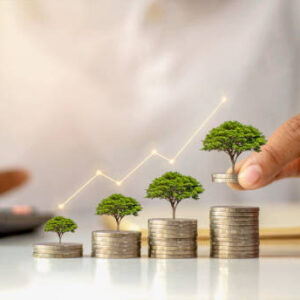 Top 5 Passive Income Streams to Start in 2025 - Verified by FangWallet