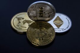 Meet Bonk, The Dog Coin of The People: Everything You Need to Know About It - Verified by FangWallet