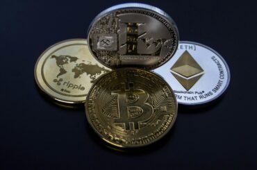 Meet Bonk, The Dog Coin of The People: Everything You Need to Know About It - Verified by FangWallet