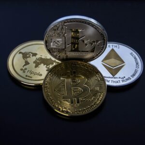 Meet Bonk, The Dog Coin of The People: Everything You Need to Know About It - Verified by FangWallet