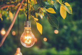 popular-energy-saving-program-cut
