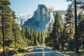 two-killed-in-rising-national-park-accident-trend
