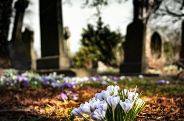 Service Corporation International (SCI) Stock Analysis: Long-Term Value in the Death Care Industry - Verified by FangWallet