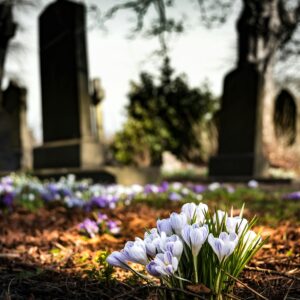 Service Corporation International (SCI) Stock Analysis: Long-Term Value in the Death Care Industry - Verified by FangWallet
