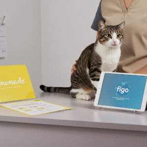 Lemonade vs. Figo Pet Insurance: What Sets Them Apart - Verified by FangWallet