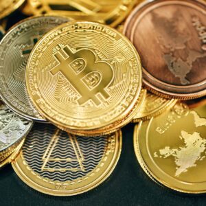 animoca-crypto-surge