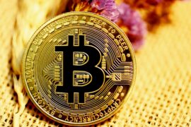 bitcoin-market-updates