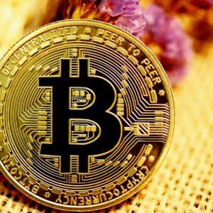 bitcoin-market-updates